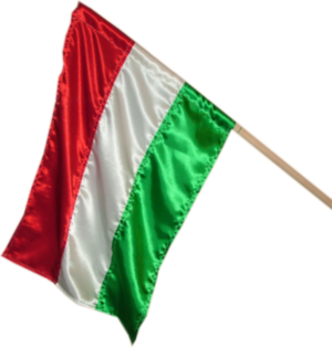 Magyar-zászló-jobból_300x314.png